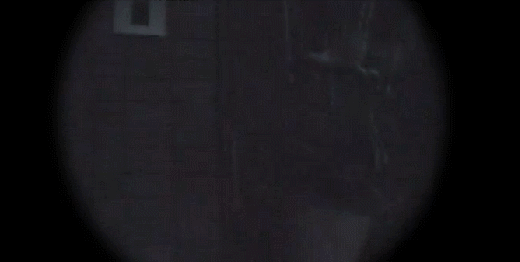 09061